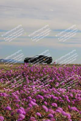 media/Jan-08-2023-SCCA SD (Sun) [[8f6a5b9391]]/Intermediate Group/Session 2 (Short Straight)/